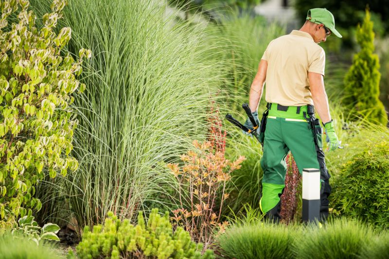 Landscaping and Outdoor Maintenance